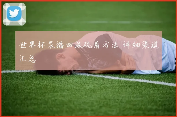 世界杯录播回放观看方法 详细渠道汇总